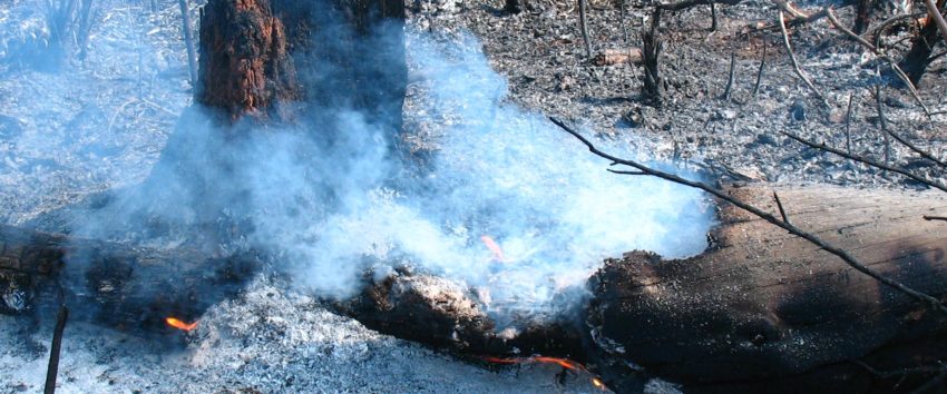 Coals of Fire
