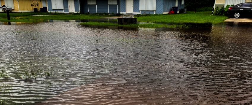 My street is flooded from hurricane rains. I'm not allowed to complain about this.